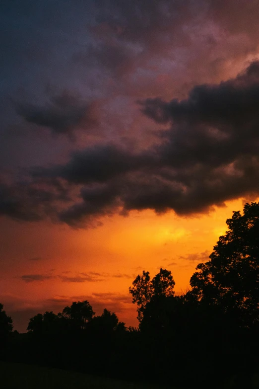 the silhouette of trees is against the bright sky