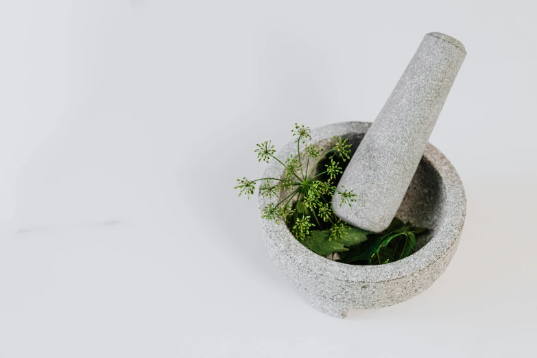 a cement vase has plants in it