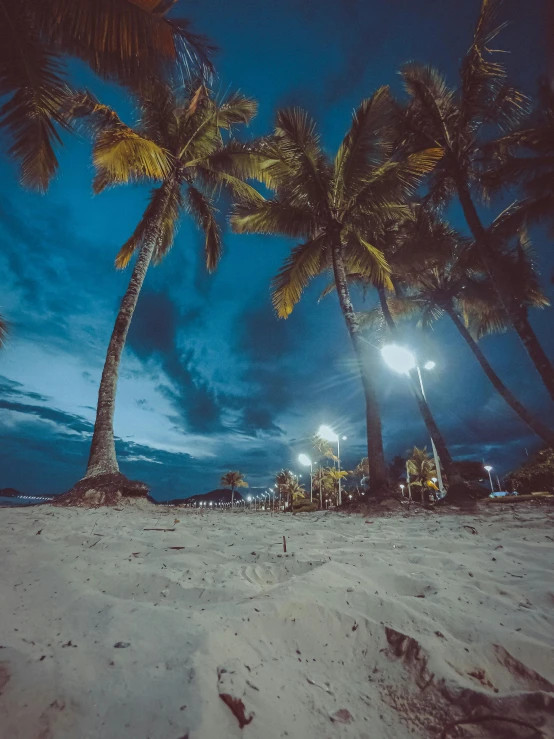 a night scene of a sandy beach with palm trees