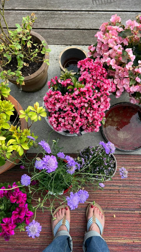 person standing next to several pots of flowers