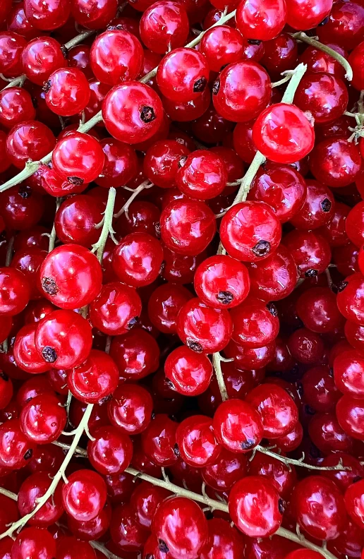 a bunch of red cherries sitting together