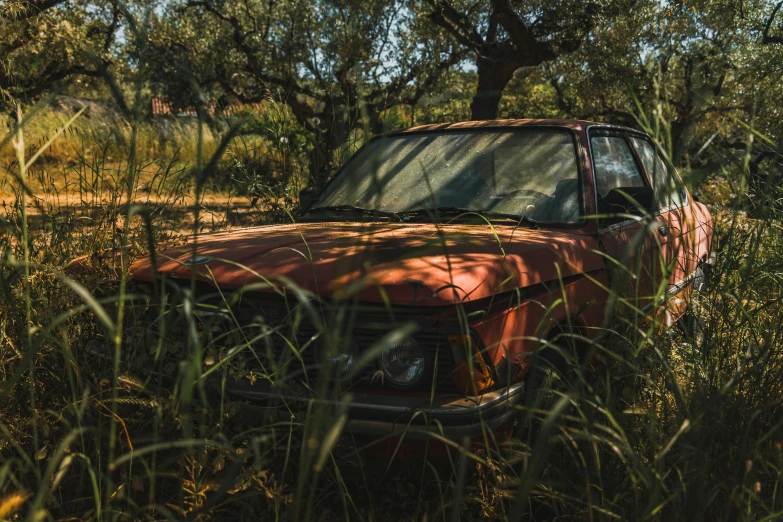 an old, rusted out car in tall grass