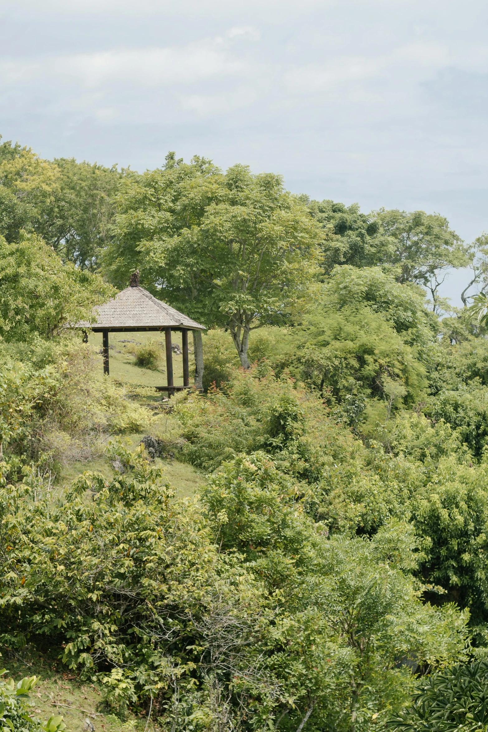 a small wooden pavilion is perched on the hill