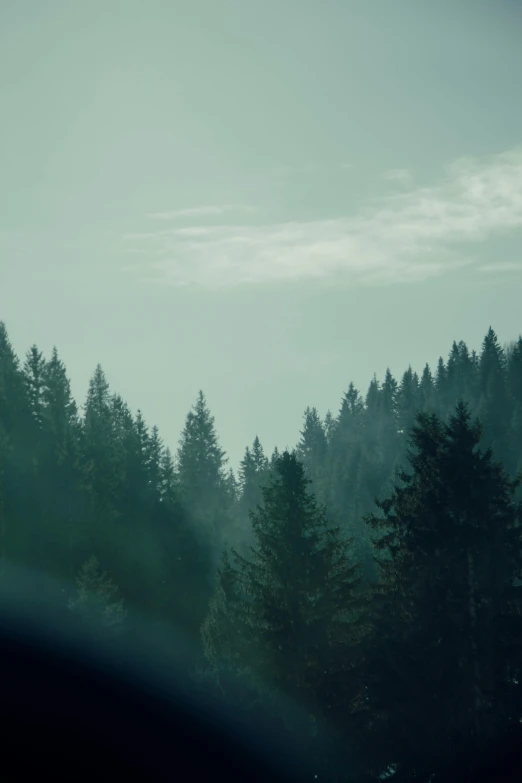 a plane flying high in the sky with a lot of trees