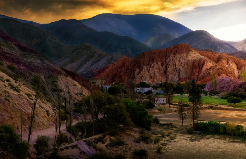 a mountain landscape with pink and yellow trees