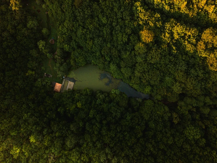 a house nestled on the side of a lake in the middle of a forest