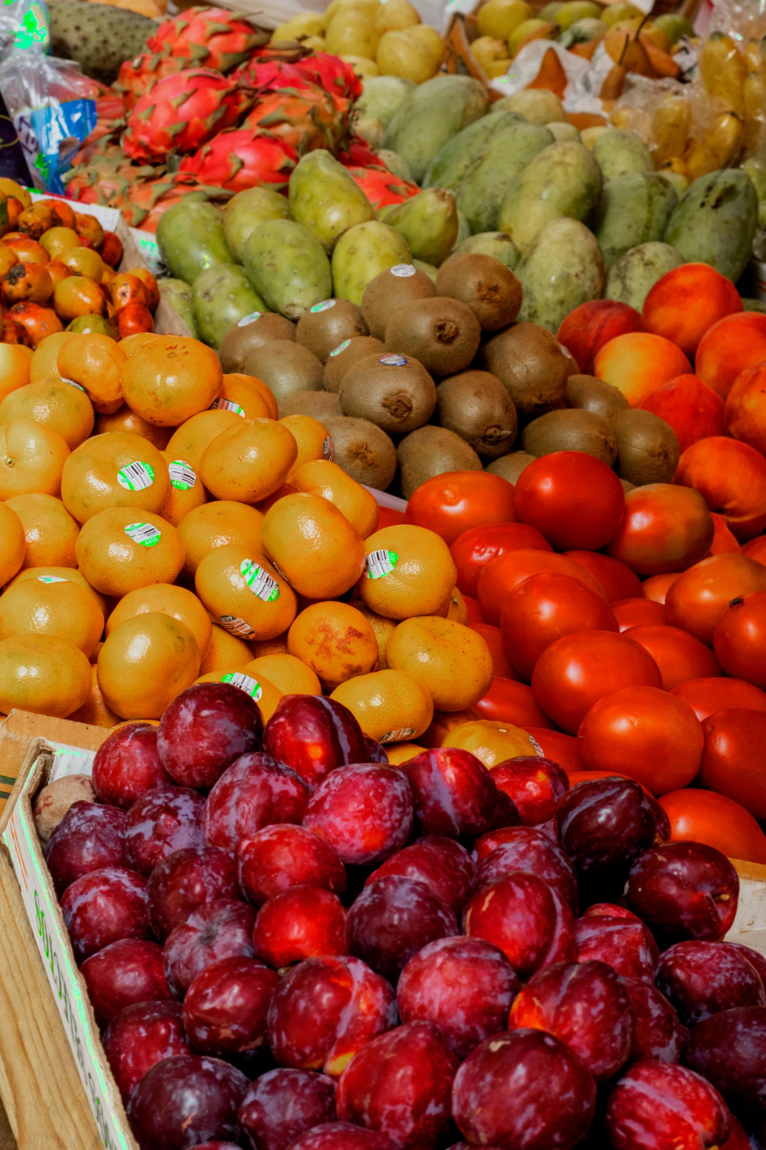 there are many fruits to choose from in this store