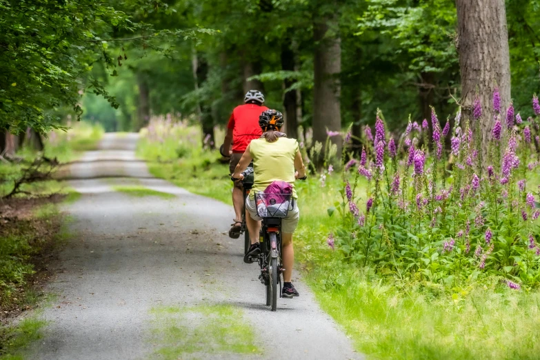 two people are riding bicycles down the road