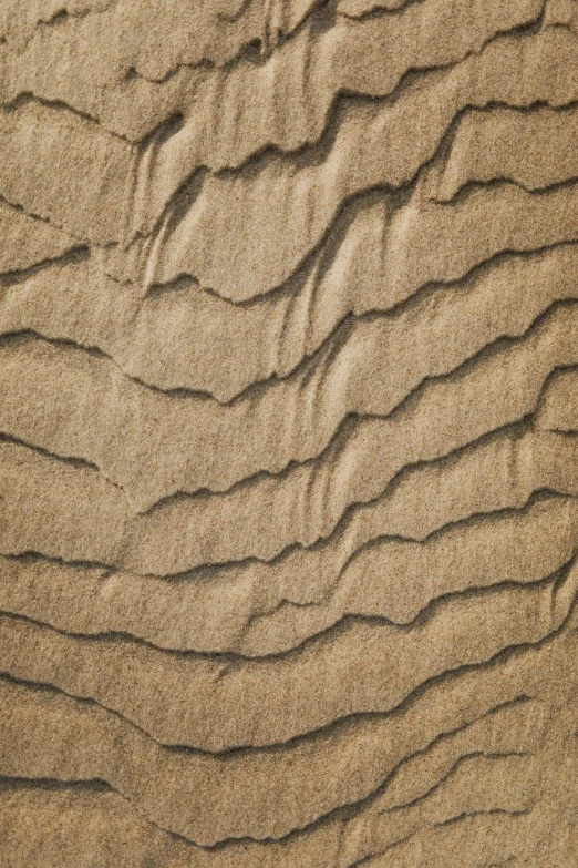 sand ripples on the beach with a wave pattern
