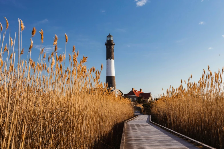 a boardwalk is leading to a lighthouse on a sunny day