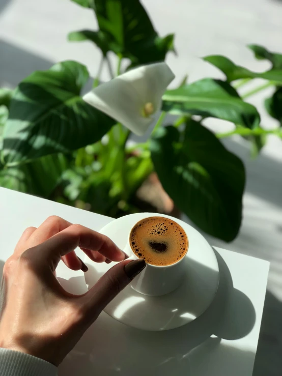 a person holds a coffee cup on a plate near a flower