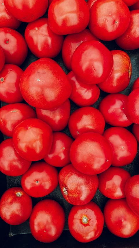 a box of tomatos that have been cleaned