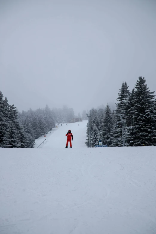 a snowboarder going down a hill with trees in the background