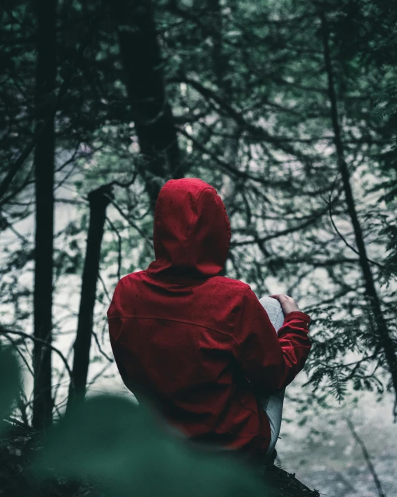 someone wearing a red hoodie sitting in the woods