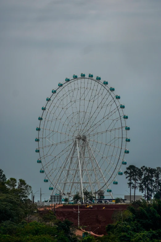 a large ferris wheel with trees in the background