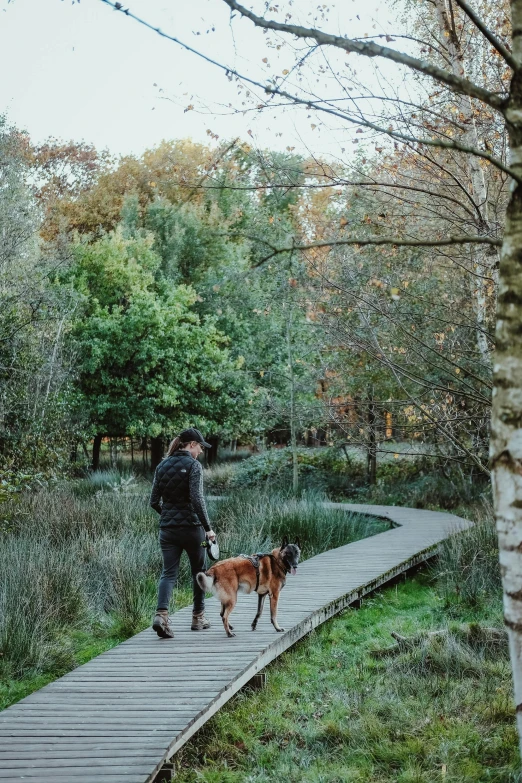 a man and a dog walking across a wooden walkway