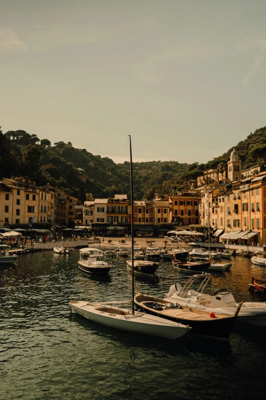 boats are lined up at the harbor of a small town