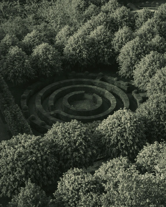 a spiral shaped garden with trees surrounding it