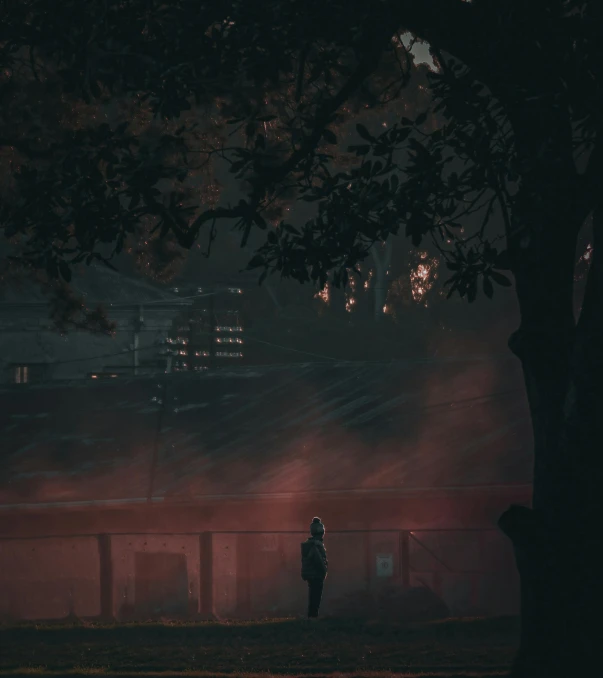 man walking down the street near a large tree