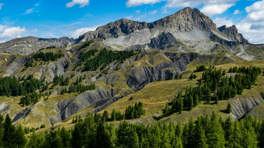 a mountain side landscape is covered in green and trees