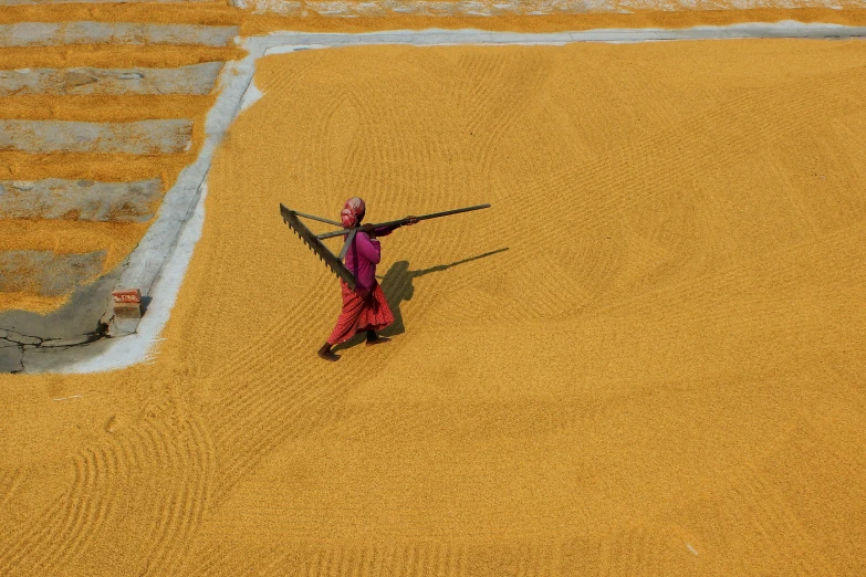 a person in a yellow field holding some sort of pole