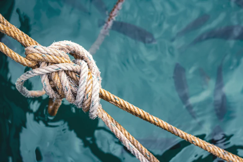 a rope is tied to a boat in the water