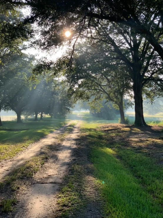 a sunburst shines through the trees in the shade of the trees on a dirt road