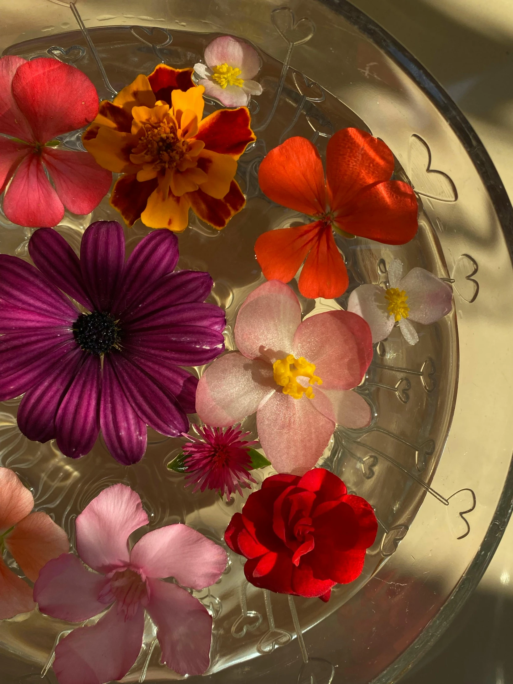 some colorful flowers floating in a bowl with water