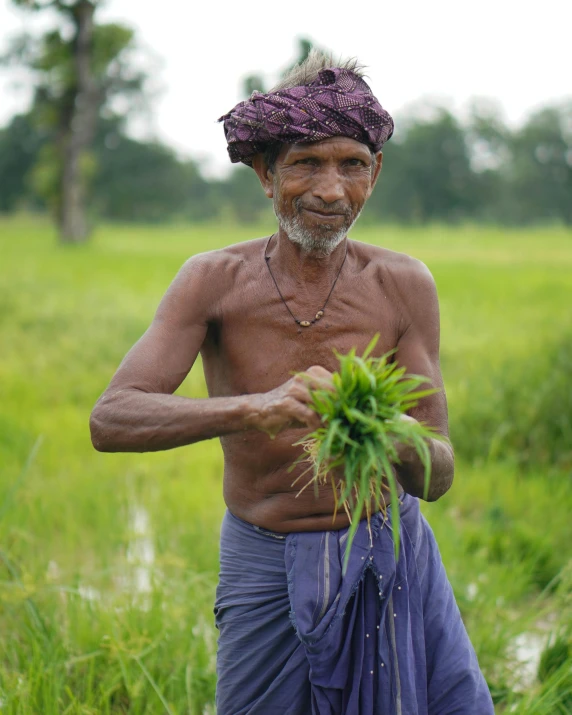 the older person is holding a green plant