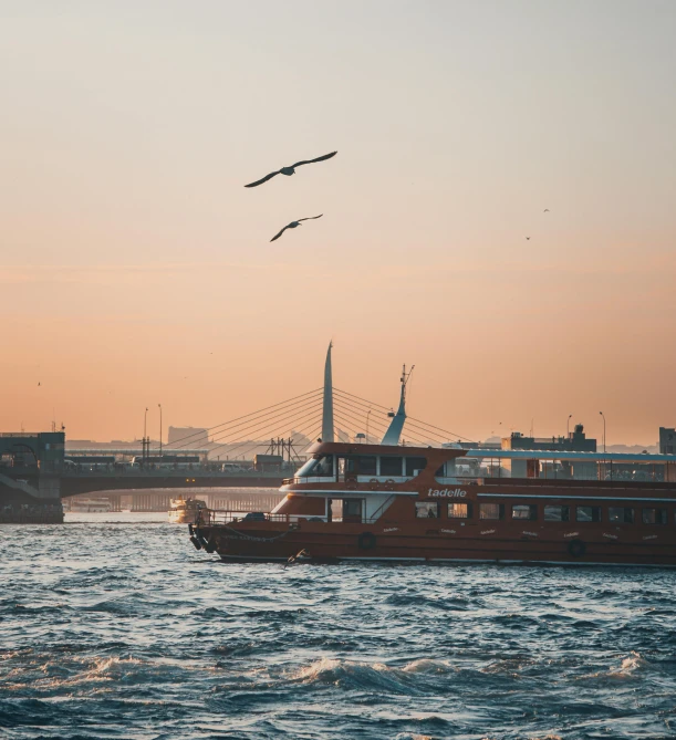 the bird flies by a boat on the water