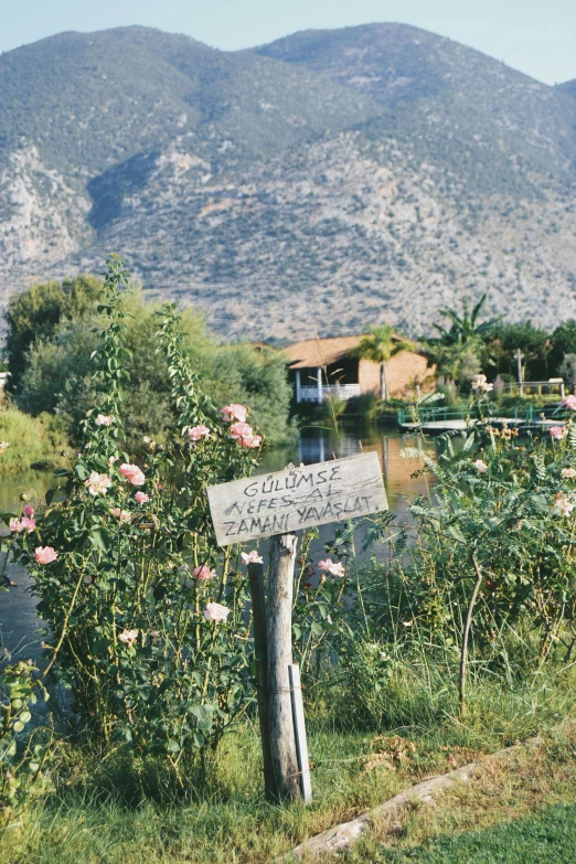 a sign standing in the grass next to a lake