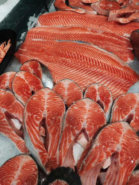 the fish are lined up on ice to be sold