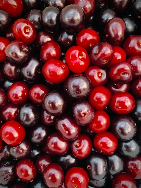 red berries are arranged in a pile on display