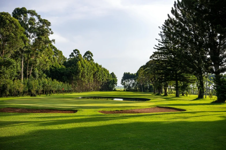 a golf course with a small pond and some trees