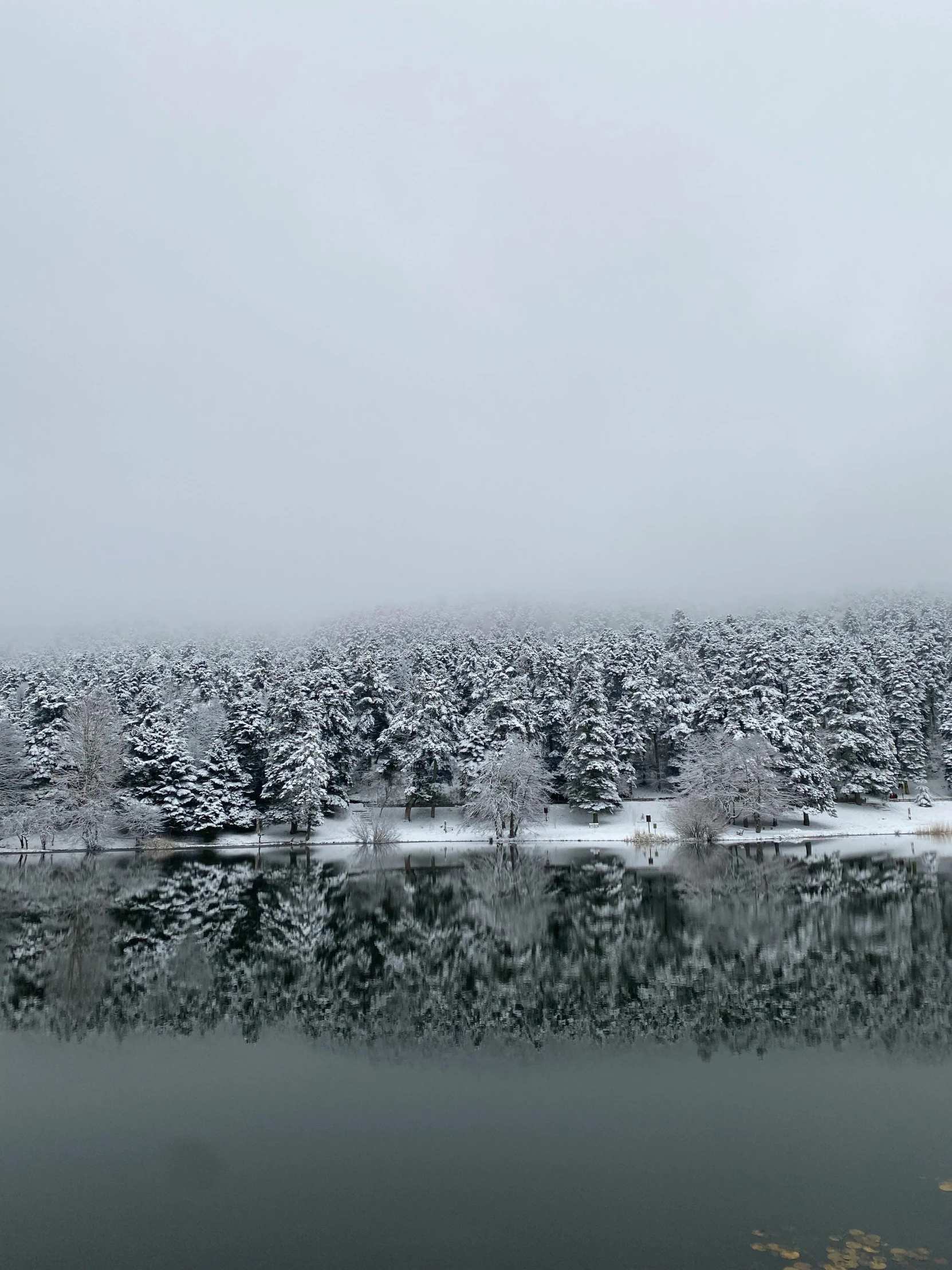 a body of water with lots of trees and snow on top