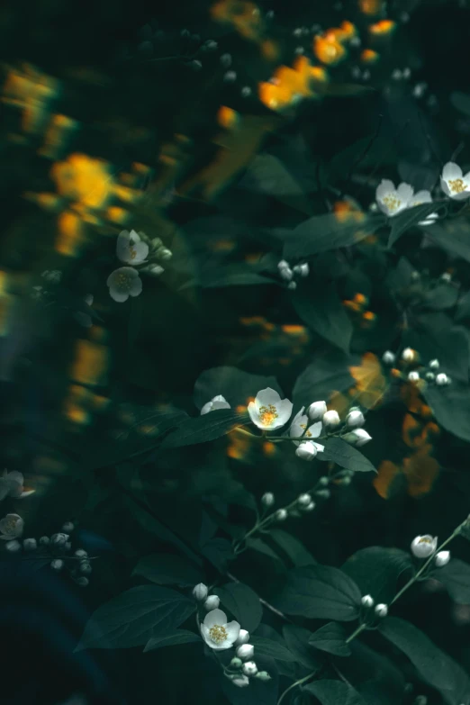 wildflowers in the forest against a background of yellow and green leaves