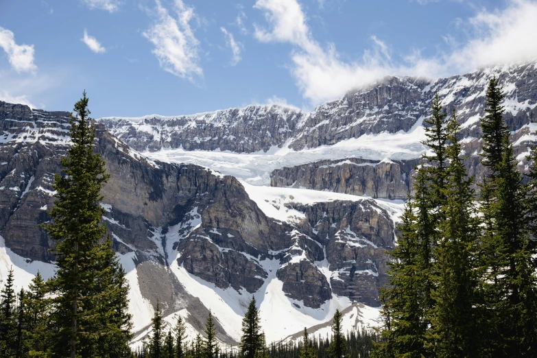 a large snowy mountain with pine trees