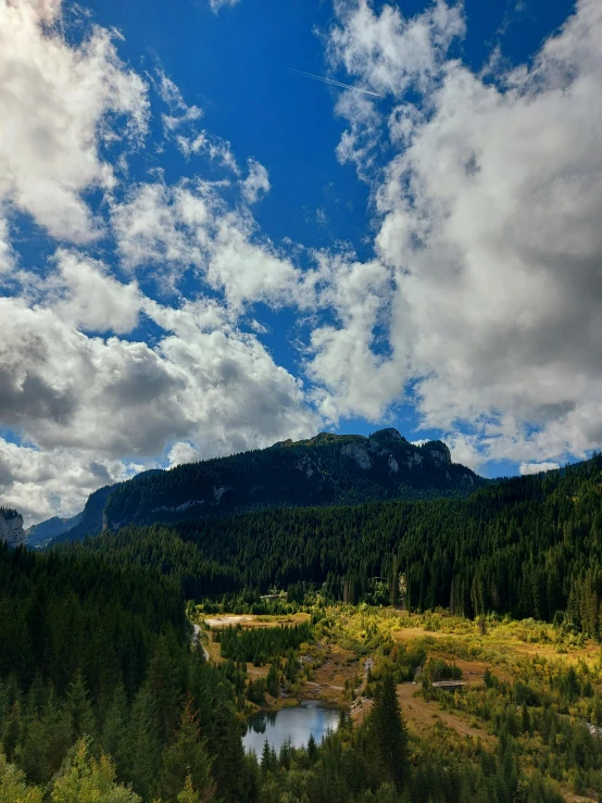 a wide s of some trees and clouds over a lake