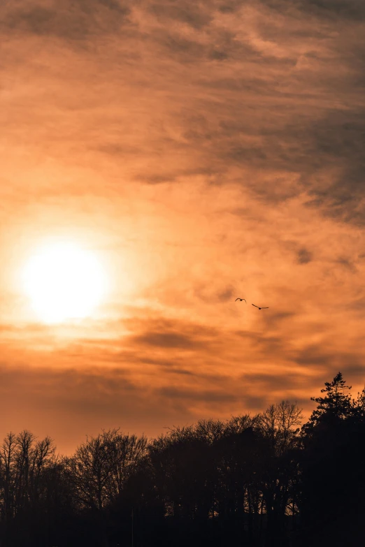 an orange and yellow sunset with a plane in the sky