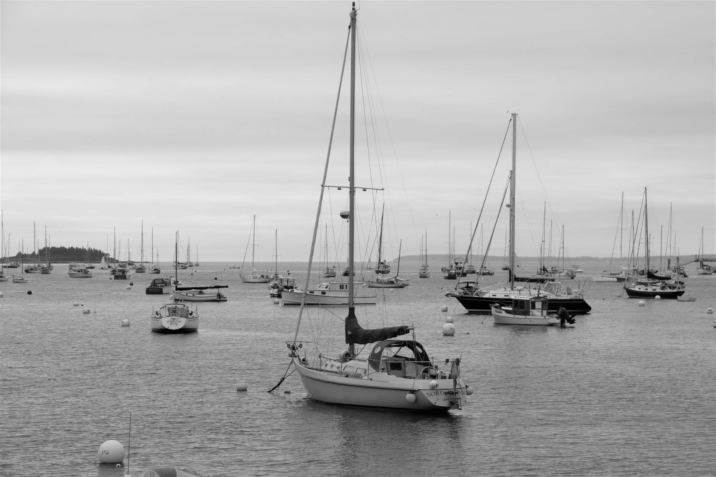 a large body of water filled with sailboats