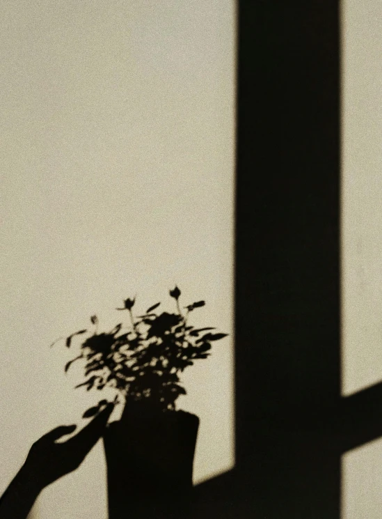 a pot with a plant is sitting on a ledge