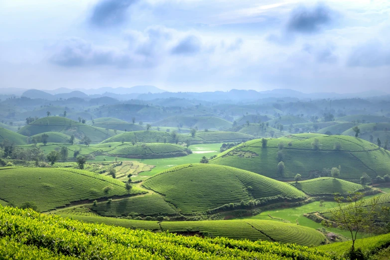 a grassy valley that has a very pretty green field