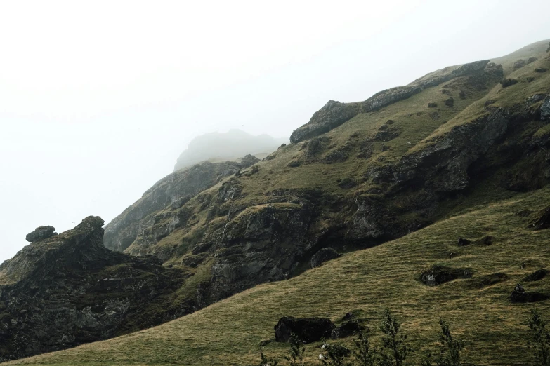 animals graze on the grass near some large rocks