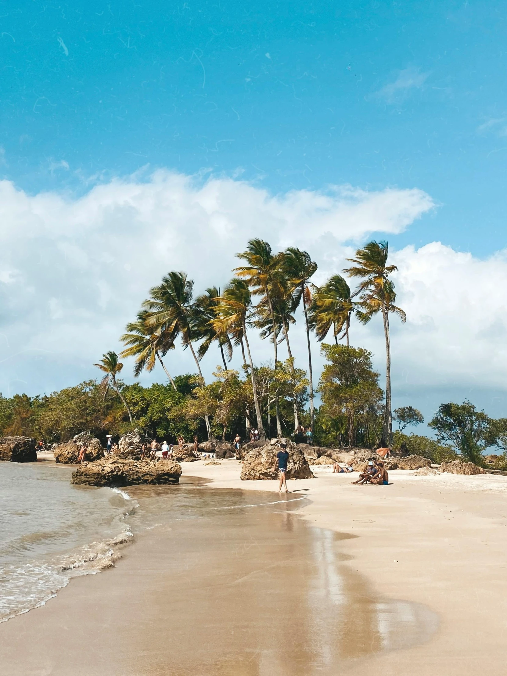 the beach is sandy with clear blue water and palm trees