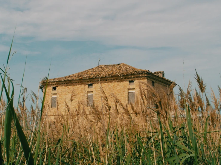 an abandoned house in a field of tall grass