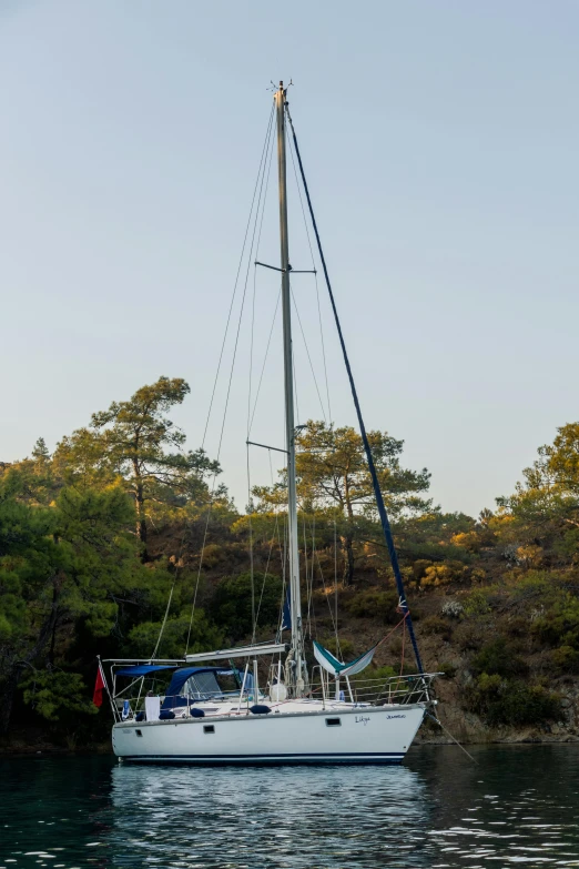 sailboat anchored near a wooded shore on a sunny day