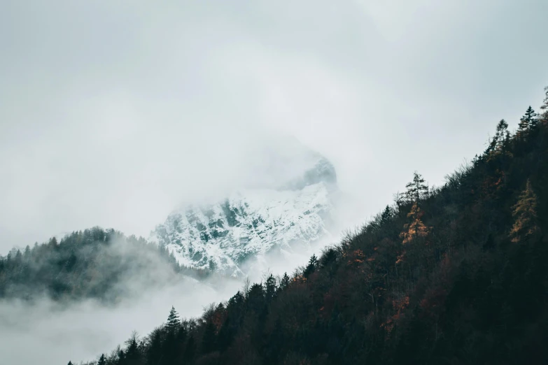 the mountains have trees with some snow on them