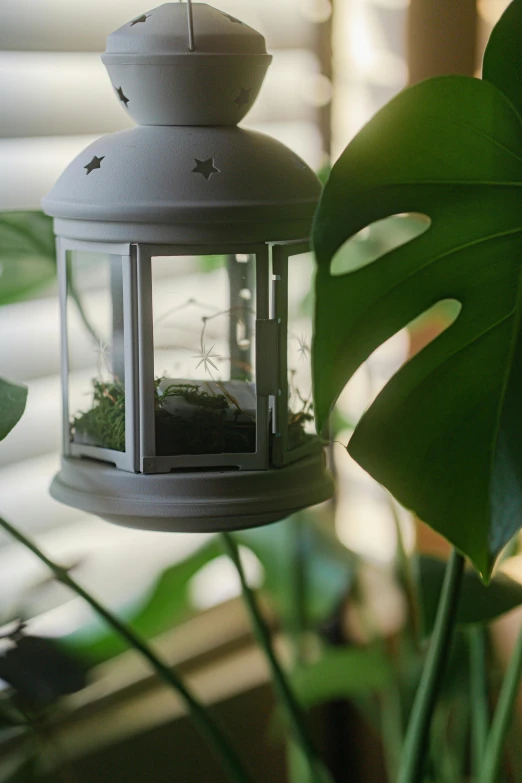 an iron candle lantern sitting next to a fern leaf