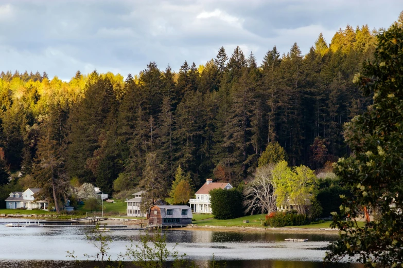 houses along a lake surrounded by trees with yellow foliage