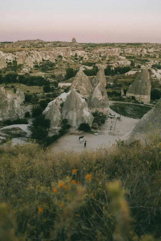 a scenic scene in the badlands with yellow flowers and white rocks